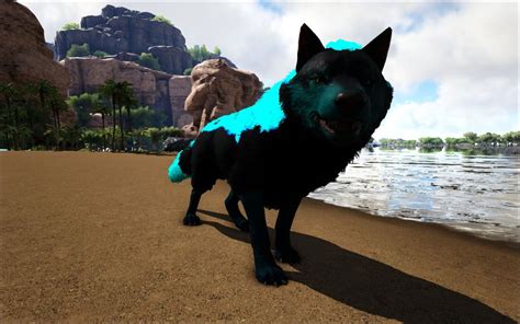 ark survival wolf|how to tame dire wolves ark.